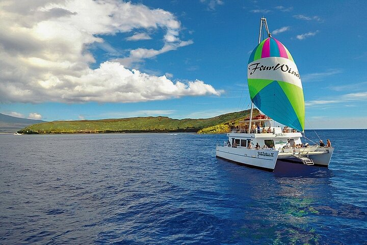 Four Winds II Molokini Snorkeling Tour from Maalaea Harbor  - Photo 1 of 25